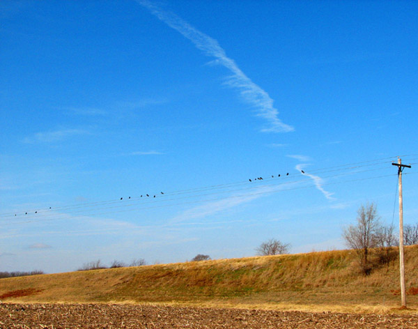 IMAGE: http://dabadoo.freeservers.com/big%20sky.jpg