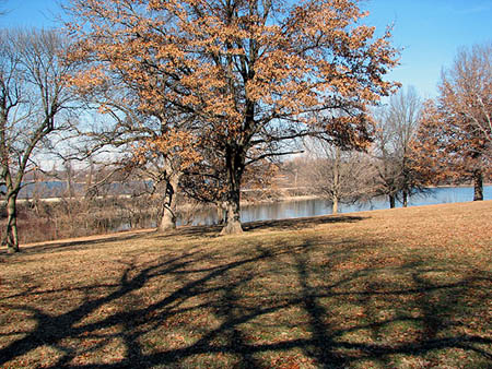 IMAGE: http://dabadoo.freeservers.com/tree%20shadow.jpg